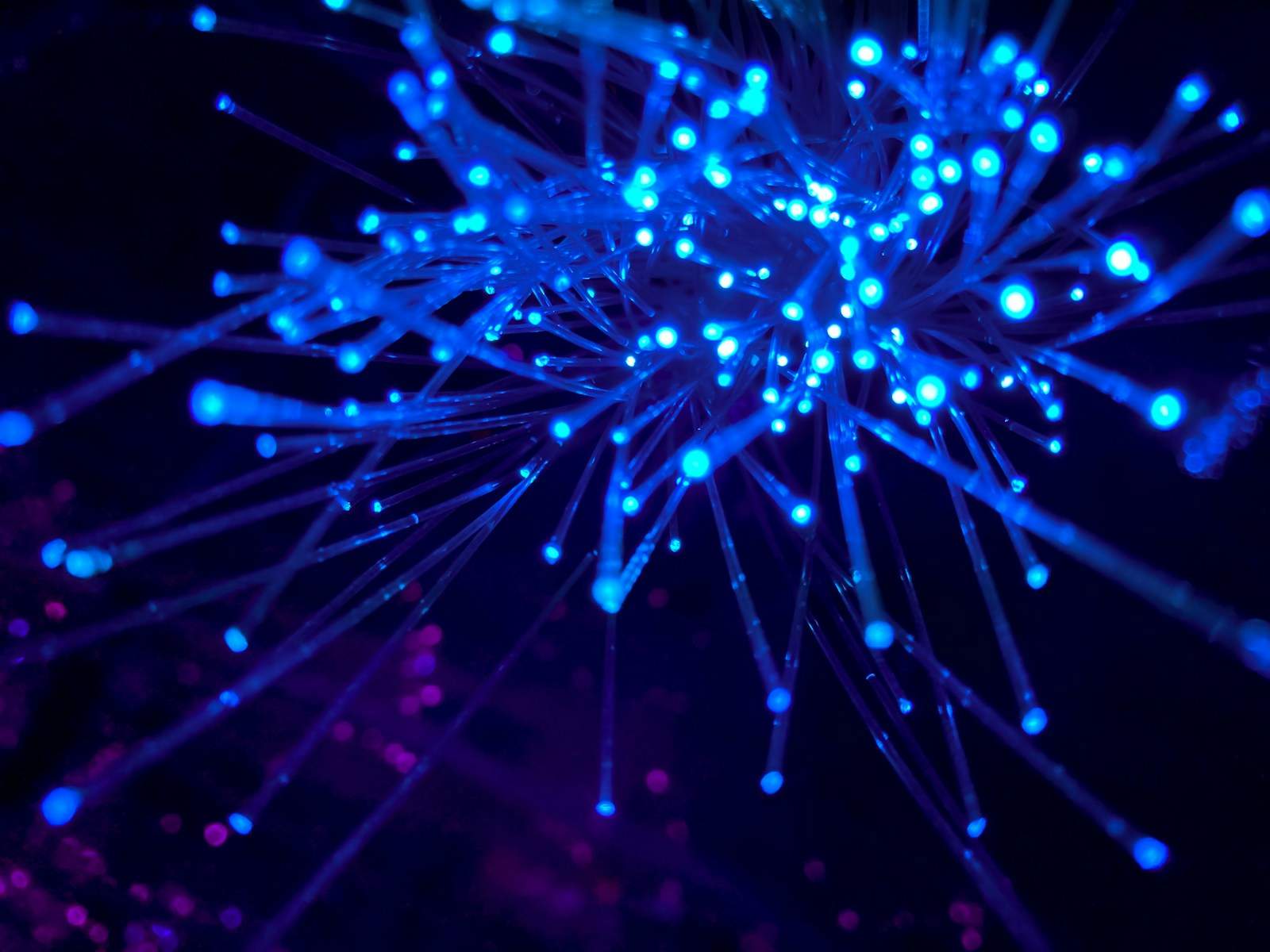 Low-Income Internet Plans You May Qualify For